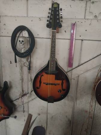 Electric, Acoustic  Mandolin 1