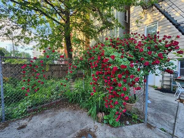 UNIQUE CHARACTER- DUPLEX – PRIVATE BACKYARD – GREENPOINT-W/D 1