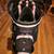 Cart Golf Bag like New 9 thumbnail