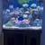 Fish tank 2 thumbnail