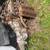 1966 MUSTANG 289 BLOCK AND TRANSMISSION 2 thumbnail