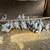18 braham chicks 2 thumbnail