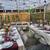 Chair & Table Rentals – DMV – Tents Available – Fast Delivery 3 thumbnail