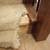 Carpet Clean 2 Rooms + Hall + Sofa $89.95 / Carpet Repairs - Handyman 8 thumbnail