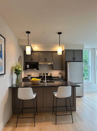 $3,200 / 2br - 738ft2 - Dos dormitorios en el corazón de DT Florence - Nueva construcción (Maple St. Florence MA)64017046799747120