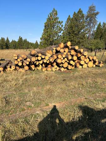 Seasoned Pine 8’-16’ log length 1