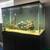 FREE Fish Tank – 55 Gallons picture in Description 3 thumbnail