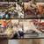 gundam model kit lot for sale. 4 thumbnail
