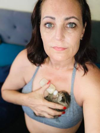 Three Kittens (Webster)63859314543105123