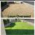 Landscape - Overseed- Lawn seeding 2 thumbnail