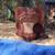 PONY SADDLE 1 thumbnail