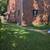 Amazing apartment in heart of Regent Square 5 thumbnail