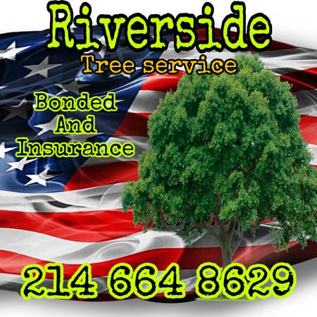 Tree Service and Garden Design (Stone Work) 1