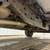 2015 Ford F150 SuperCrew Cab XLT 4D 4x4 5-1/2ft. - 178k Miles 20 thumbnail