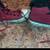 Red High Tops All Star Converse Mens Sz 7 Womens 9 - $45 5 thumbnail