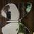 Mirrors butterflies set of 2 2 thumbnail
