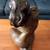 Bronze Sculpture by Artist Victor Gutiérrez – Unique Collectible Art 9 thumbnail