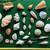 Sea Shell collection 4 thumbnail