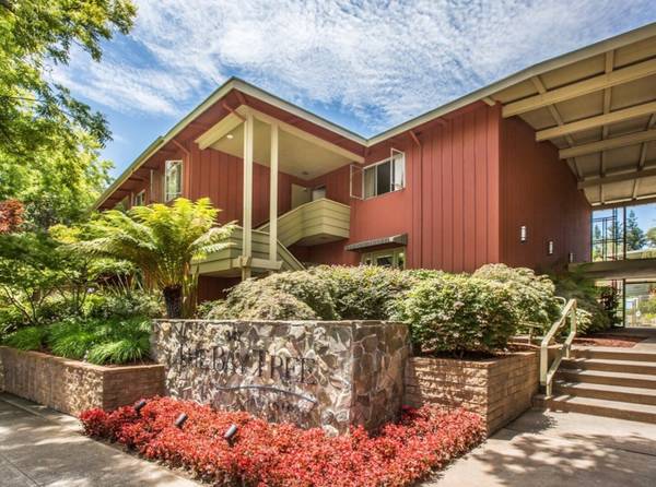 $4,095 / 2br - 1011ft2 - Top Floor, Gorgeous Private Creekside Views! (los gatos)63946672662274120