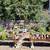San Pedro Cactus, Succulents, plants, Bird houses, Plant boxes & more 16 thumbnail