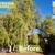 ***Professional Lawn and Maintenance Services, Quality & Excellence*** 2 thumbnail