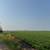 197+ Acres Agricultural Land in Browerville 14 thumbnail