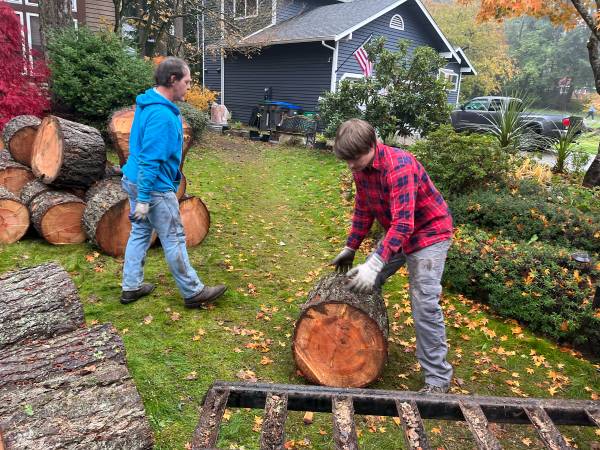 Storm cleanup - logs, brush, clean up 1