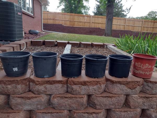 (6) plant pots - $5 all (6) 1