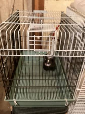 Jaula para roedores pequeños/aves $20 (South Berwick, Maine)63844233395073120