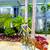 Lovely 1 Bedroom in Beautiful Costa Mesa! 21 thumbnail