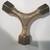 Antique Sheraton Period (1790-1820) Maple Tall Post Rope Bed 11 thumbnail