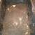 red wiggler breeding bins includes couple thousand of red wigglers 5 thumbnail