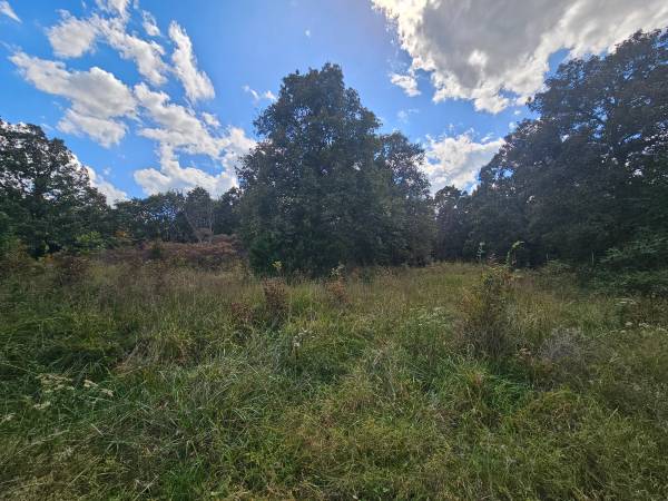 $299,900 / 3br - 1948ft2 - ****GREAT POTENTIAL ON BEAUTIFUL 20 ACRE PROPERTY**** (Locust Grove)64054254036226123