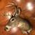 Deer Mount 3 thumbnail