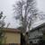 Alex landscaping and tree service 9 thumbnail