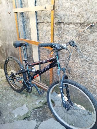 Schwinn Mountain bike 1