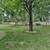 4411 Leduc Street 4 thumbnail