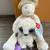 Stuffed Animals - Take your pick 5 thumbnail