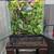 Fully Equipped 18×18×24 Exo Terra Crested Gecko Setup + Gecko 1 thumbnail