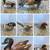 Miniature Duck Carvings 1 thumbnail