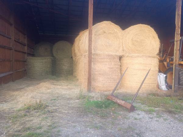 Round Bales 1