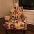 Pier One Chair 1 thumbnail