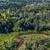 1.03 Acre lot 9 thumbnail