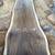 Black Walnut Live Edge Slabs 4 thumbnail