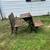 Antique school desks 1 thumbnail