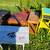 Refurbishes dressers, bench/toy box, end tables 12 thumbnail