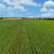 72+ Acre Irrigated Farmland with Development Potential! 13 thumbnail