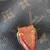 Vintage Louis Vitton Hand Bag 4 thumbnail