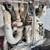 1995 Ford LA9000 Single Axle Day Cab 9 thumbnail