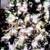 8 foot pre lit christmas tree 2 thumbnail